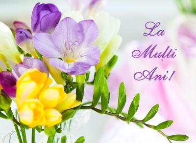 8 Martie